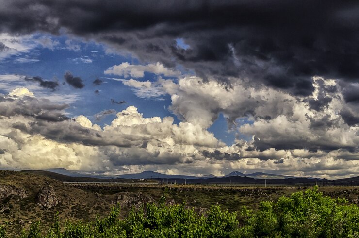 NAPI Emergência Climática