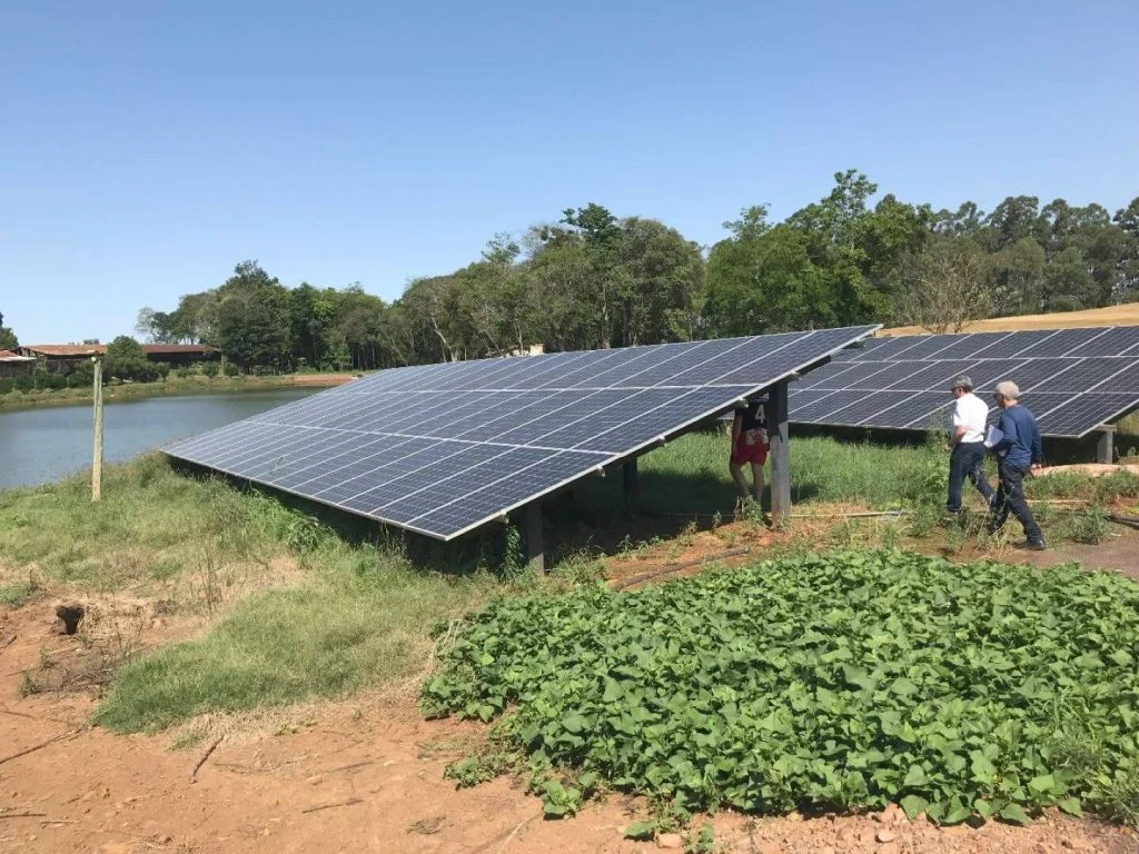 Paraná é vice-líder em energia renovável na…